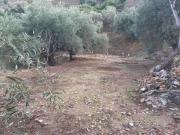 Parcela en venta en Canillas de Albaida Málaga