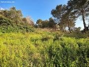 PARCELA EN VENTA EN CANYELLES