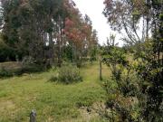 Parcela en Venta en Cariquilda