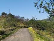 Parcela en venta en Cártama Málaga