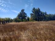 Parcela en Venta en Cerca de cancha de Lo Patricio