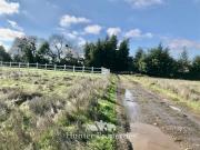 Parcela en Venta en Cercano a Viña Terra Noble, en...