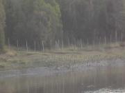 Parcela en venta en CHONCHI