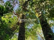 Parcela en Venta en Choroico, a 2kms de carretera 5