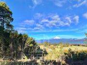 Parcela en Venta en COD39234 A 5 minutos de Villarrica...