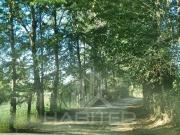 Parcela en Venta en COD39614 Chucauco