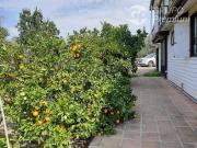 Parcela en Venta en CODIGUA,RUTA G 668,MELIPILLA