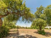 Parcela en venta en COLINA