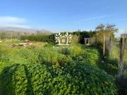 Parcela en venta en Colina Parcela en venta en Colina