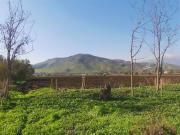 Parcela En Venta En Colina