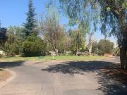 Parcela en venta en COLINA