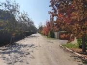Parcela en venta en COLINA
