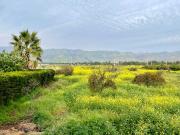 Parcela en venta en COLINA