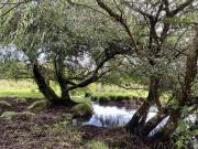 Parcela en Venta en Colonia San Martin a 3,2 kms de la...