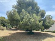 Parcela en Venta en Comarruga, Tarragona