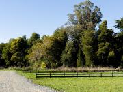 Parcela en venta en CONCEPCIÓN