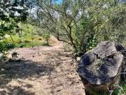 Parcela en venta en CONCON