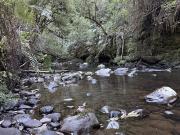 Parcela en Venta en Condominio Alerces del Camahueto