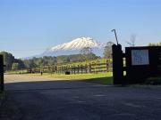 Parcela en Venta en Condominio El Parque Puerto Varas