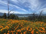 Parcela en Venta en CONDOMINIO PIEDRA MOLINO