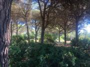 Parcela en venta en Conil de la Frontera Cádiz
