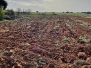 Parcela en venta en Conil de la Frontera Cádiz