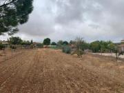 Parcela en venta en Córdoba, El Higuerón