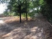 Parcela en venta en Córdoba, Gorgoja