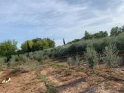 Parcela en venta en Córdoba, Villarrubia
