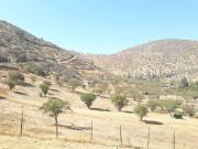 Parcela en venta en CURACAVÍ