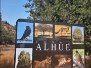 Parcela en venta en CURACAVÍ