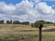 Parcela en Venta en curahue a 30 minutos de castro