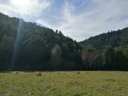 Parcela en Venta en dalcahue