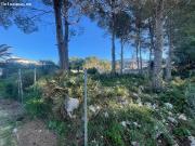 Parcela en Venta en Denia, Alicante