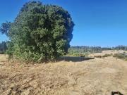 Parcela en Venta en El Convento
