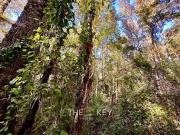 Parcela en Venta en Candelaria Pucón