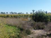 Parcela en venta en Elche, La Hoya Daimes El Derramador