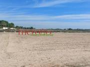 Parcela en venta en Elche, Maitino