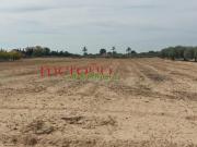 Parcela en venta en Elche, Maitino