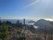 Parcela en Venta en Faro Curaumilla