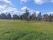 Parcela en Venta en FMCC+3J5