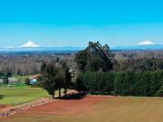 Parcela en venta en FRUTILLAR