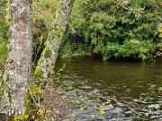 Parcela en venta en FRUTILLAR