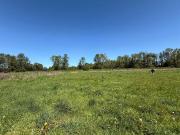 Parcela en venta en FRUTILLAR