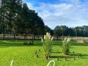 Parcela en venta en FRUTILLAR