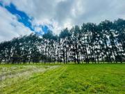 Parcela en venta en FRUTILLAR