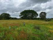 Parcela en venta en FRUTILLAR