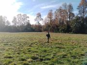 Parcela en venta en FRUTILLAR