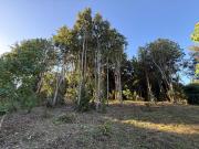 Parcela en venta en FRUTILLAR