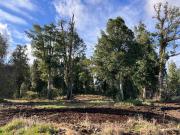 Parcela en venta en FRUTILLAR
